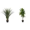 Nearly Natural 4' Spiked Agave Plant, Green & 43in. Dracaena Silk (Real Touch) Artificial Plant, Green -Green Leaf Store 418xn3YHmFL