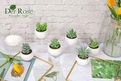 Der Rose 6 Packs Fake Succulents Plants Small Realistic Succulents Plants Artificial For Home Room Decor Indoor -Green Leaf Store 419AboaAWqL