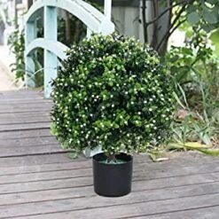 Green Leaf Store -Green Leaf Store 419HbsB3ILL