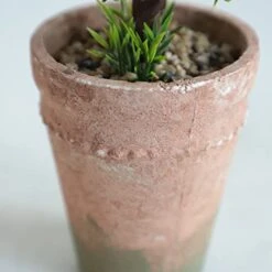 （3 Pack） Faux Small Topiary Tree In Stone Basin 13inchs Height Artificial Boxwood Tree Grass Potted Faux Plant For Home Office Table Desk Shelves Decor -Green Leaf Store 419g8gUJgGL