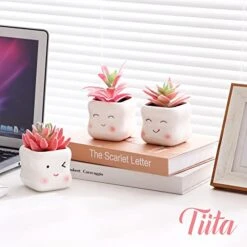 Tiita Artificial Faux Succulents In Pots Fake Plants Ceramic Arrangement Planter Small Mini Tiny Decoration For Home Office Desk Window Sill Bathroom Bedroom Outdoor Indoor -Green Leaf Store 419yXIKu2CL