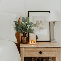 DEEMEI 22pcs Artificial Eucalyptus Stems Bulk Silver Dollar Leaves Eucalyptus Branches Greenery Decor(11.4" Tall) -Green Leaf Store 41A1Y3BsHbL