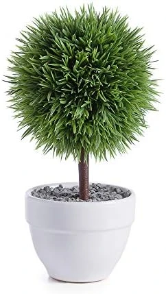 Torre & Tagus 901836 Jardin Topiary Grass Ball, 10-Inch 5 Torre & Tagus 901836 Jardin Topiary Grass Ball, 10-Inch - Image 5