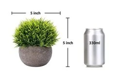 Nerseki Artificial Plants Plastic Mini Fake Fresh Lifelike Green Grass In Gray Pot For Home Decor (Snow-1) 9 Nerseki Artificial Plants Plastic Mini Fake Fresh Lifelike Green Grass In Gray Pot For Home Decor (Snow-1) -Green Leaf Store 41ATo6j8bjL