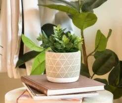 Kurrajong Farmhouse Artificial Succulent Plant 7.5" X 4.5" | Beautiful Faux Plant For Home Decor Indoor | Realistic Artificial Plants | Fake Plants For Desk Decor | Fake Succulent In Pot -Green Leaf Store 41Aq616BnqL