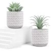 Der Rose 2 Packs Fake Plants Artificial Succulents Plants In Pots For Home Boho Decor Indoor -Green Leaf Store 41AqohkHlOL