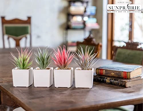 Sunprairie Classic Set Of 4 Faux Succulents 7” Tall In Ivory White Stucco Ceramic Pots-Realistic Multi Colored Artificial Succulents Plants For Home & Office Decor. 2 Sunprairie Classic Set Of 4 Faux Succulents 7” Tall In Ivory White Stucco Ceramic Pots-Realistic Multi Colored Artificial Succulents Plants For Home & Office Decor. - Image 2