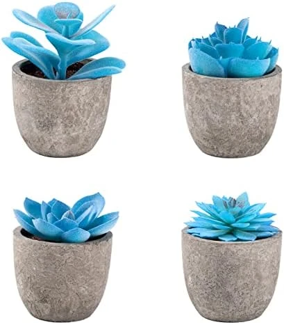Jelofly Fake Plants Artificial Succulent Plants Assorted Decorative Faux Succulent Potted Fake Cactus Cacti Plants Gray Pots, Set Of 5 6 Jelofly Fake Plants Artificial Succulent Plants Assorted Decorative Faux Succulent Potted Fake Cactus Cacti Plants Gray Pots, Set Of 5 - Image 6