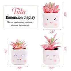 Tiita Artificial Faux Succulents In Pots Fake Plants Ceramic Arrangement Planter Small Mini Tiny Decoration For Home Office Desk Window Sill Bathroom Bedroom Outdoor Indoor -Green Leaf Store 41BLEYIPGEL