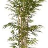 Nearly Natural 5253 Bamboo Silk Tree, 64-Inch, Green -Green Leaf Store 41BVjdpOfXL