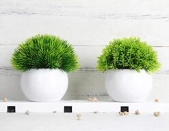 FEILANDUO 4 Pcs Mini Artificial Plants Potted Small Fake Plants For Shelf Green Plant In White Plastic Pot For Home Bathroom Decor Faux Plants (White, Set Of 4) -Green Leaf Store 41BYT5ub1YL