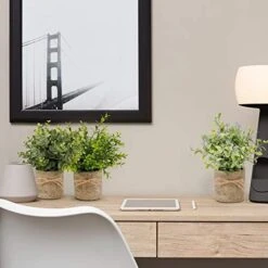 PENGYEE Artificial Plant, 3Pcs Mini Plants Artificial Potted Set Fake Green Grass Faux Plastic Green Rosemary Topiary Shrubs For Home Office Desk, Kitchen Counter Decoration -Green Leaf Store 41BrfTM1H4L
