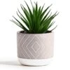 Kurrajong Farmhouse 8" X 4.5" Beautiful Fake Plant | Artificial Potted Plant Decor | Faux Plant | Artificial Succulent Plants Potted For Home Decor Indoor | Fake Potted Plant | Fake Succulents 22 Kurrajong Farmhouse 8" X 4.5" Beautiful Fake Plant | Artificial Potted Plant Decor | Faux Plant | Artificial Succulent Plants Potted For Home Decor Indoor | Fake Potted Plant | Fake Succulents -Green Leaf Store 41C0JadhmmS