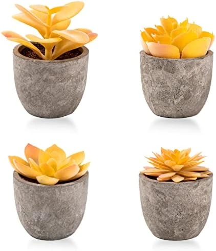 Jelofly Fake Plants Artificial Succulent Plants Assorted Decorative Faux Succulent Potted Fake Cactus Cacti Plants Gray Pots, Set Of 5 9 Jelofly Fake Plants Artificial Succulent Plants Assorted Decorative Faux Succulent Potted Fake Cactus Cacti Plants Gray Pots, Set Of 5 - Image 9