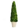 BoxwoodWorld Boxwood Topiary 100cm Height Preserved Nature Boxwood Leaves, Big Tree Plant Decor For Any Indoor Room (Large Bxowood ConeTree, 39 Inch) -Green Leaf Store 41CCcqP9keL