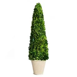 BoxwoodWorld Boxwood Topiary 100cm Height Preserved Nature Boxwood Leaves, Big Tree Plant Decor For Any Indoor Room (Large Bxowood ConeTree, 39 Inch)