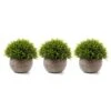 T4U 3PCS Artificial Plastic Potted Plant Fake Green Grass Faux Plant With Pot For Home Office Indoor Décor -Green Leaf Store 41CIAinkbyL