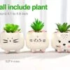 B SEPOR 3 Little Kitty Cats Small Artificial Succulents Potted With White Porcelain Pots Ceramic Animal Planter Gift Set For Home And Office Decor -Green Leaf Store 41CgSyhmyZL