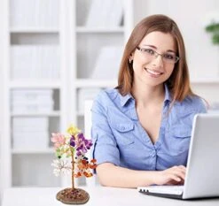 Mina Heal Crystal Gem Money Tree For Chakra Healing Feng Shui Fortune Good Luck Wealth & Prosperity -Green Leaf Store 41D8KxFLUVL