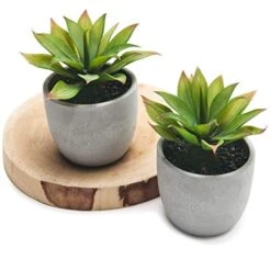Kurrajong Farmhouse Fake Plants | Fake Succulents Set Of Two | Succulent Plants Artificial | Artificial Succulents | Fake Agave Artificial Plants -Green Leaf Store 41DO0jMpuTL
