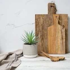 Kurrajong Farmhouse Faux Plant In Pot - 8" X 4.5" | Beautiful Faux Succulent Plant Decor | Artificial Succulent Plants | Faux Plants Indoors -Green Leaf Store 41DTerJGqxL