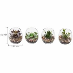 MyGift Assorted Artificial Succulent Fake Plant In Small Clear Glass Display Vases, Set Of 4 -Green Leaf Store 41DxeONhB3L