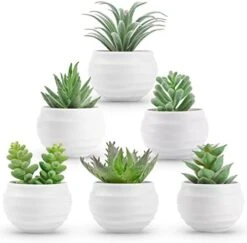 Der Rose 6 Packs Fake Succulents Plants Small Realistic Succulents Plants Artificial For Home Room Decor Indoor -Green Leaf Store 41ETz0VQwfL. AC