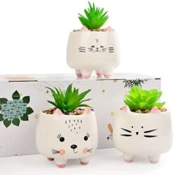 B SEPOR 3 Little Kitty Cats Small Artificial Succulents Potted With White Porcelain Pots Ceramic Animal Planter Gift Set For Home And Office Decor -Green Leaf Store 41EtXh8itL. AC
