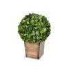 Vickerman Everyday 9 Inch Artificial Boxwood Topiary Ball - Natural Green - For Indoor Use Suspended Or Arrangement Accent - Home Tabletop Fake Bush Decoration -Green Leaf Store 41F5OuvbGLL