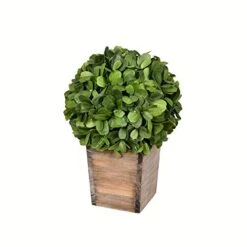 Vickerman Everyday 9 Inch Artificial Boxwood Topiary Ball - Natural Green - For Indoor Use Suspended Or Arrangement Accent - Home Tabletop Fake Bush Decoration