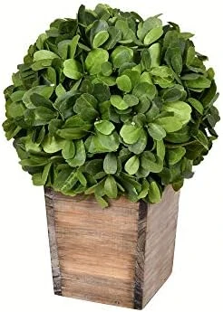 Vickerman Everyday 9 Inch Artificial Boxwood Topiary Ball - Natural Green - For Indoor Use Suspended Or Arrangement Accent - Home Tabletop Fake Bush Decoration 3 Vickerman Everyday 9 Inch Artificial Boxwood Topiary Ball - Natural Green - For Indoor Use Suspended Or Arrangement Accent - Home Tabletop Fake Bush Decoration - Image 3