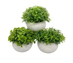 Artificial Mini Potted Plant Decor (Set Of 3) | Green Leaves Set | Fake Plants | Office Decor, Bathroom Decor, Farmhouse Decor, Kitchen Decor | Faux Topiary Decore | Home Decor Clearance 11 Artificial Mini Potted Plant Decor (Set Of 3) | Green Leaves Set | Fake Plants | Office Decor, Bathroom Decor, Farmhouse Decor, Kitchen Decor | Faux Topiary Decore | Home Decor Clearance -Green Leaf Store 41GrkBRJ7NL