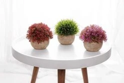 T4U Plastic Artificial Plants Fake Plants With Pots Decorative Colorful Lifelike Flower For Home/Office Decor Pack Of 3 9 T4U Plastic Artificial Plants Fake Plants With Pots Decorative Colorful Lifelike Flower For Home/Office Decor Pack Of 3 -Green Leaf Store 41H8Cv1EanL
