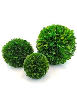 Tradingsmith Preserved Boxwood 6" Balls -Green Leaf Store 41Hzs0byaTL