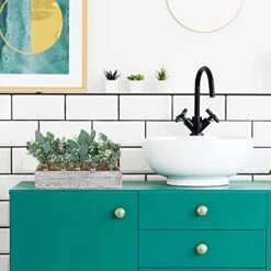 Winlyn 20 Pcs Mixed Eucalyptus Leaves Stems Bulk Artificial Oval Eucalyptus Leaves With White Seeds Stems And Eucalyptus Leaves Sprays For Vase Floral Wreath Bouquets Wedding Greenery Decoration 9 Winlyn 20 Pcs Mixed Eucalyptus Leaves Stems Bulk Artificial Oval Eucalyptus Leaves With White Seeds Stems And Eucalyptus Leaves Sprays For Vase Floral Wreath Bouquets Wedding Greenery Decoration -Green Leaf Store 41I0G1coFBL