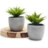Kurrajong Farmhouse Fake Plants | Fake Succulents Set Of Two | Succulent Plants Artificial | Artificial Succulents | Fake Agave Artificial Plants -Green Leaf Store 41I5fcrIEuL