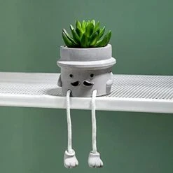 Lavenor Artificial Potted Plant Fake Succulent Plant Cute Hanging Leg Emotional Cement Potted Succulents Decor For Desk Shelf Bedroom Living Room And Office Decoration(Type A + Type C) 22 Lavenor Artificial Potted Plant Fake Succulent Plant Cute Hanging Leg Emotional Cement Potted Succulents Decor For Desk Shelf Bedroom Living Room And Office Decoration(Type A + Type C) -Green Leaf Store 41IJLfrg KL. AC