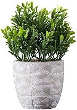 "FAVRD" Artificial Plants Boxwood In Cement Pot Environmentally Conscious Partly Recycled Fake Plants Topiary Shrubs Faux Plants Indoor Home Office Decor Desk, 6.5 X 6.5 X 9.5 Inches 6 "FAVRD" Artificial Plants Boxwood In Cement Pot Environmentally Conscious Partly Recycled Fake Plants Topiary Shrubs Faux Plants Indoor Home Office Decor Desk, 6.5 X 6.5 X 9.5 Inches -Green Leaf Store 41Iblhq IBS. AC