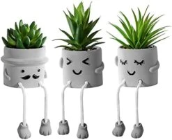 Zerzsy 3pcs Creative Artificial Succulents With Gray Flower Pots, Mini Potted Succulents For Home Decor And Gift Choice. 20 Zerzsy 3pcs Creative Artificial Succulents With Gray Flower Pots, Mini Potted Succulents For Home Decor And Gift Choice. -Green Leaf Store 41JFAcP43bL. AC
