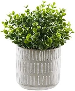 "FAVRD" Artificial Plants Boxwood In Cement Pot Environmentally Conscious Partly Recycled Fake Plants Topiary Shrubs Faux Plants Indoor Home Office Decor Desk, 6.5 X 6.5 X 9.5 Inches 7 "FAVRD" Artificial Plants Boxwood In Cement Pot Environmentally Conscious Partly Recycled Fake Plants Topiary Shrubs Faux Plants Indoor Home Office Decor Desk, 6.5 X 6.5 X 9.5 Inches -Green Leaf Store 41JPZm7EgmS. AC