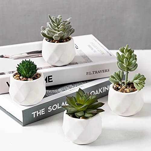 MyGift Set Of 4 Mini Assorted Artificial Succulent Fake Plants In Modern White Textured Ceramic Plant Pots 2 MyGift Set Of 4 Mini Assorted Artificial Succulent Fake Plants In Modern White Textured Ceramic Plant Pots - Image 2