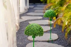 2pcsSolar Artificial Plant Topiary Ball Lights,Faux Boxwood Decorative Ball Solar Decor With 7 Color LED Lights Built-in For Backyard, Balcony,Garden Wedding And Home Decorative Sightseeing Tree Lamp -Green Leaf Store 41K0jQuhEYL