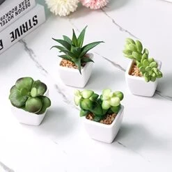 Artificial Succulent Plants Fake Succulent Plants Artificial Faux Succulents 4pcs Mini Potted Succulents For Home Office Room Decoration (Green) 8 Artificial Succulent Plants Fake Succulent Plants Artificial Faux Succulents 4pcs Mini Potted Succulents For Home Office Room Decoration (Green) -Green Leaf Store 41L8qQFlGIS