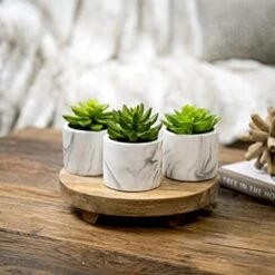 Kurrajong Farmhouse Artificial Succulent Plants In Pots | Mini Fake Plant For Shelves | Artificial Plants For Home Decor Indoor | Succulent Plants Artificial | Mini Plant Decor | Small Faux Plants -Green Leaf Store 41L90SqYKvL
