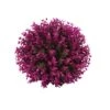 CUCUFA Artificial Topiary Ball Hanging Faux Boxwood Ball Decorative Fake Plant For Home Decor 35cm Purple -Green Leaf Store 41LMMfUzGqL