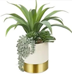 Large Artificial Succulents Plants Faux Succulents 12" Fake Succulent Plants In Gold Ceramic Pot Succulent Plant For Desk Modern Home Living Room Office Table Shelf Decor -Green Leaf Store 41Ld64rVMFL. AC