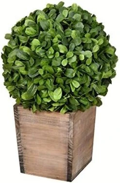 Vickerman Everyday 9 Inch Artificial Boxwood Topiary Ball - Natural Green - For Indoor Use Suspended Or Arrangement Accent - Home Tabletop Fake Bush Decoration 7 Vickerman Everyday 9 Inch Artificial Boxwood Topiary Ball - Natural Green - For Indoor Use Suspended Or Arrangement Accent - Home Tabletop Fake Bush Decoration -Green Leaf Store 41LdjMESXKL. AC