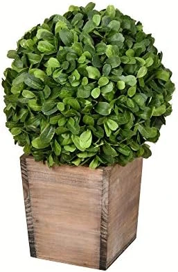 Vickerman Everyday 9 Inch Artificial Boxwood Topiary Ball - Natural Green - For Indoor Use Suspended Or Arrangement Accent - Home Tabletop Fake Bush Decoration 4 Vickerman Everyday 9 Inch Artificial Boxwood Topiary Ball - Natural Green - For Indoor Use Suspended Or Arrangement Accent - Home Tabletop Fake Bush Decoration - Image 4