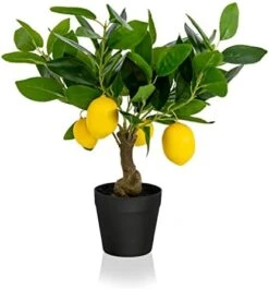 DIIGER Artificial Tree Plant Eucalyptus Tree 6FT Tall, Modern Large Fake Plant Decor In Pot For Indoor Outdoor,Home Office Perfect Housewares Gift Decoration, 71 In Eucalyptus Tree -Green Leaf Store 41LostEELmL. AC