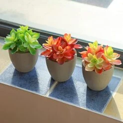 Mingfuxin Artificial Plants, 3 Pack Realistic Faux Succulents In Pots With Flowers For Indoor Office Desk Decor Home Bedroom -Green Leaf Store 41Lt7lCEzKL